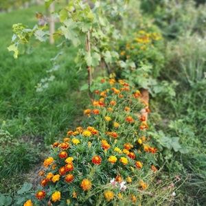 Meet your Posher, Katerina